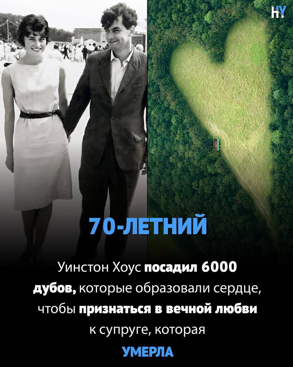 70 ЛЕТНИЙ Уинстон Хоус посадил 6000 дубов которые образовали сердце чтобы признаться в вечной любви к супруге которая УМЕРЛА