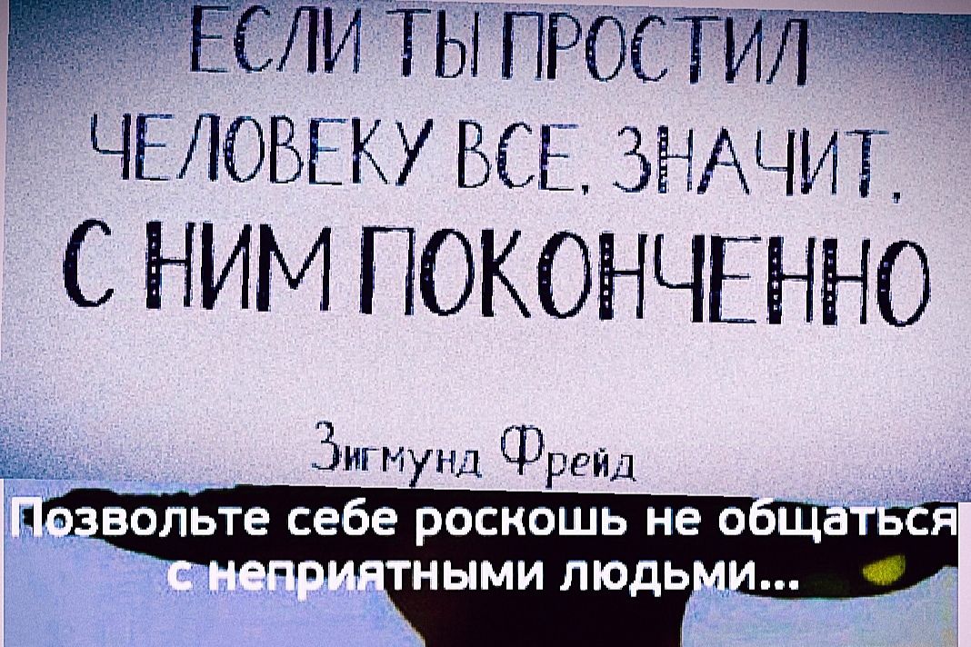 В ССЛИТЫПРОСТИЛ я ЧЕЛОВЕКУ ВСЕ ЗНАЧИТ С НИМ ПОКОНЧЕННО Зигмунд Фрейд Цозвольте Себе роскошь не общать