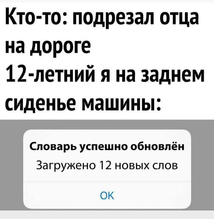 Кто то подрезал отца на дороге 12 летний я на заднем сиденье машины Словарь успешно обновлён Загружено 12 новых слов оК