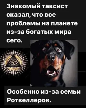 Знакомый таксист сказал что все проблемы на планете из за богатых мира сего Г 46 ОА Особенно из за семьи Ротвеллеров