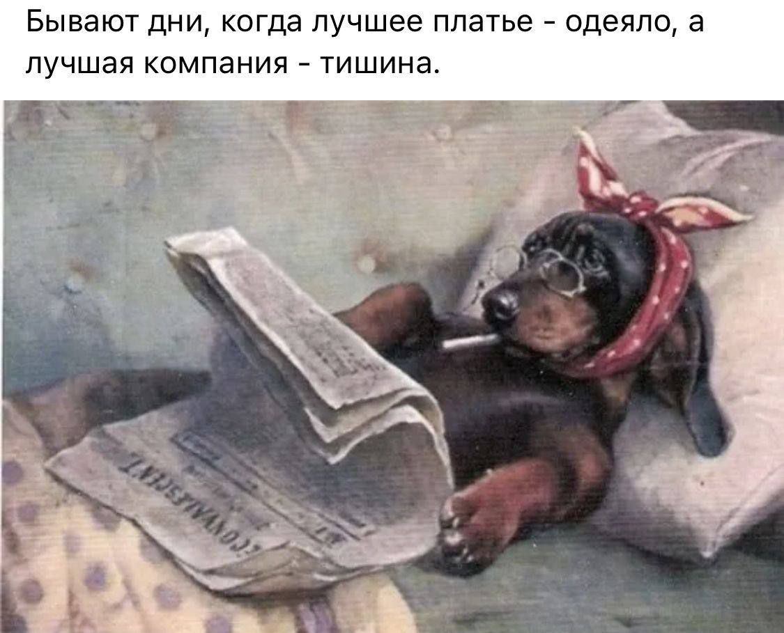Бывают дни когда лучшее платье одеяло а лучшая компания тишина 6Л