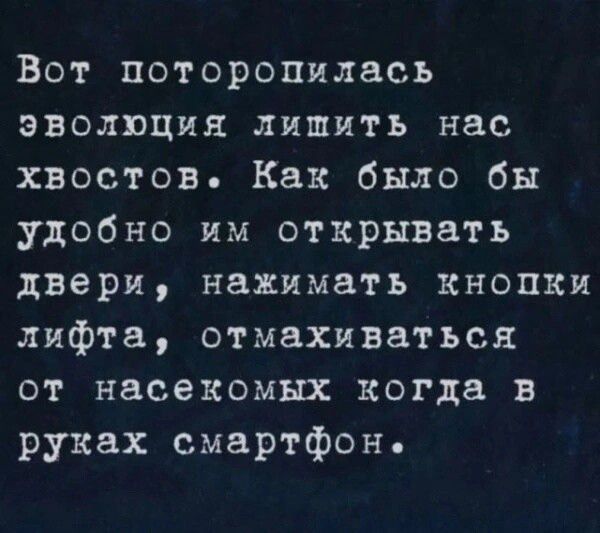 Вот поторопилась эволюция лишить нас хвостов Как было бы удобно им открывать двери нажимать кнопки лифта отмахиваться от насекомых когда в руках смартфон