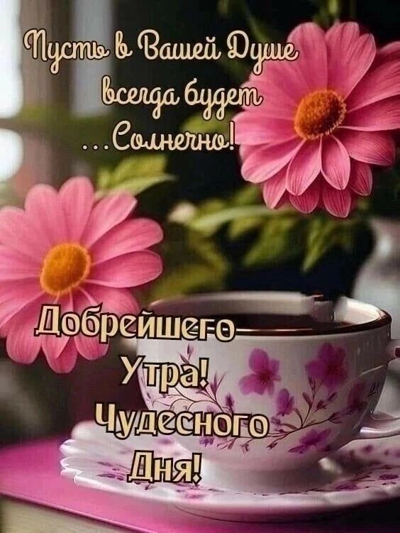 2еа дрйишегв я
