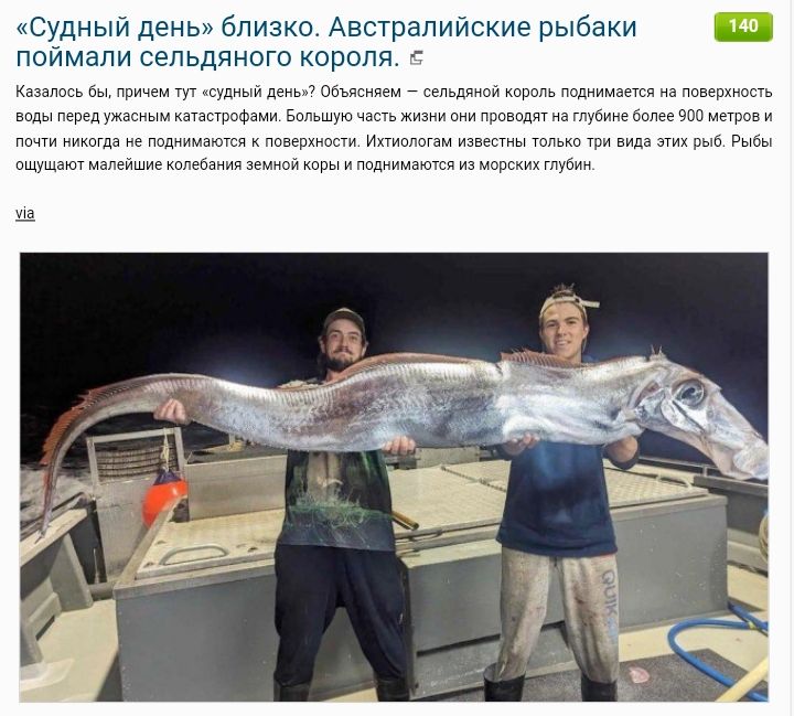 Судный день близко Австралийские рыбаки 140 поймали сельдяного короля Кавыссь быречей т оный деньСбъясним сльдной ороль еднимаетс на поверность воды передужосным катострофами Болышую частьжизнисчи проводя на Гуине более 909 метрови ы только тр внда этих рыбРыбы почти никсгда не поднимаются к повериности лог н ощущаст малениие колебания емнойкоры и подниманося и2 морских губин