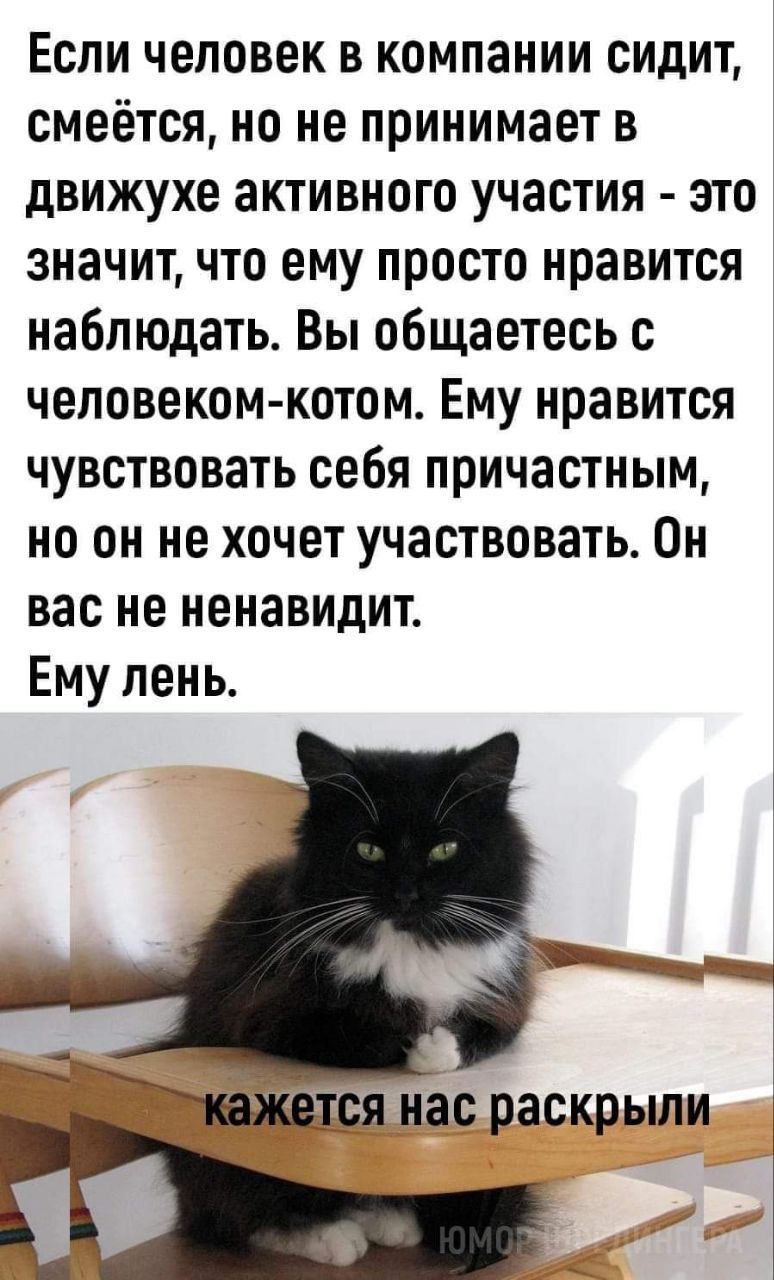 Если человек в компании сидит смеётся но не принимает в движухе активного участия это значит что ему просто нравится наблюдать Вы общаетесь с человеком котом Ему нравится чувствовать себя причастным но он не хочет участвовать Он вас не ненавидит Ему лень ь_щя нас раскрыли