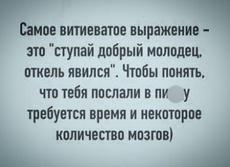 ЁМОЕ витиеватое выражение это ступай добрый молодец откель явился Чтобы понять что тебя послали в пи у требуется время и некоторое ь количество мозгов А