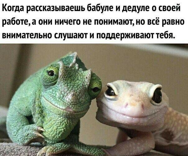 Когда рассказываешь бабуле и дедуле о своей работеа они ничего не понимают но всё равно внимательно слушают и поддерживают тебя