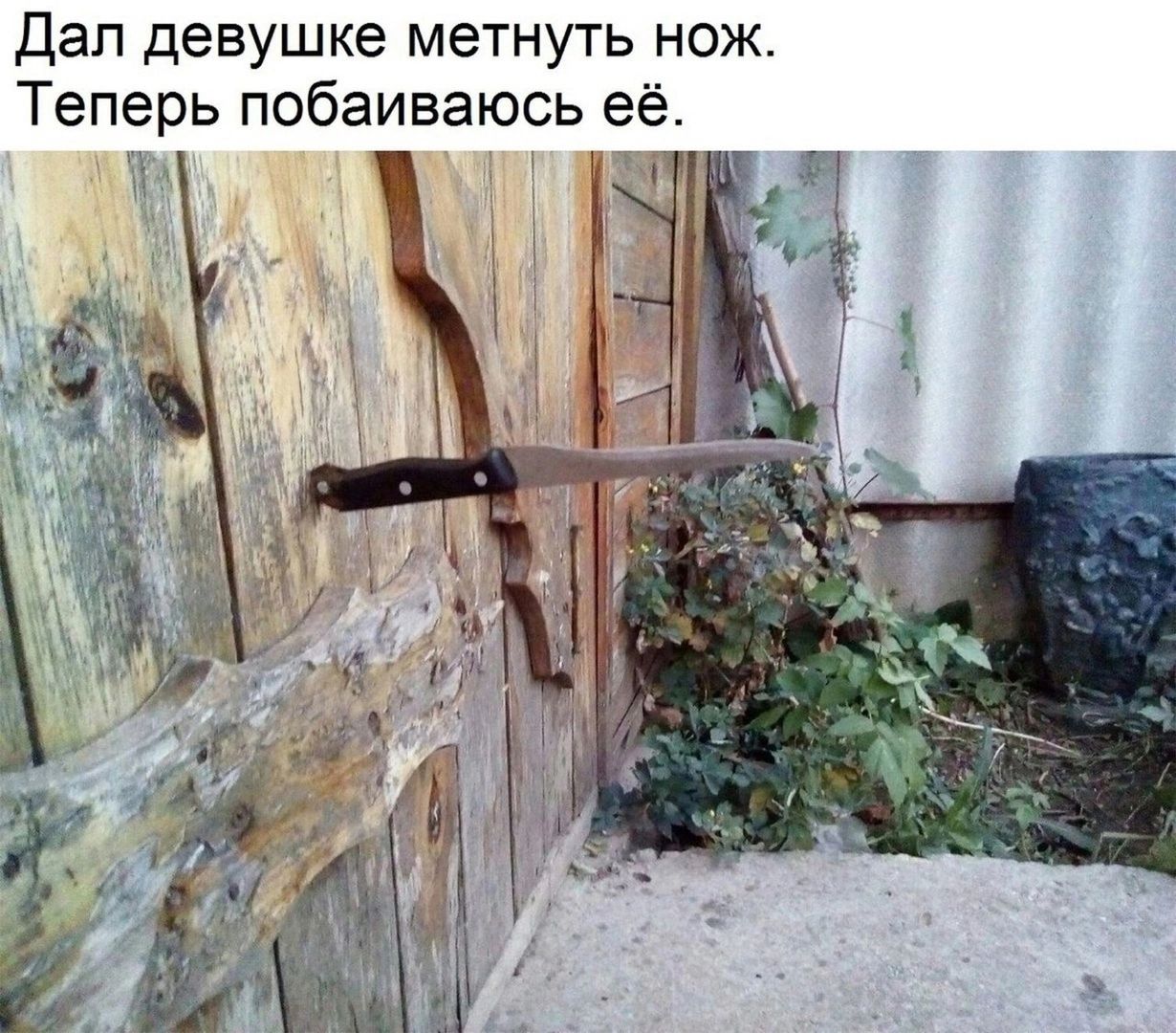 Дал девушке метнуть нож Теперь побаиваюсь её у