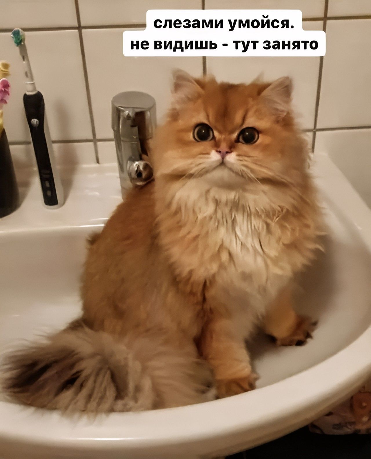 ы слезами умойся не видишь тут занято