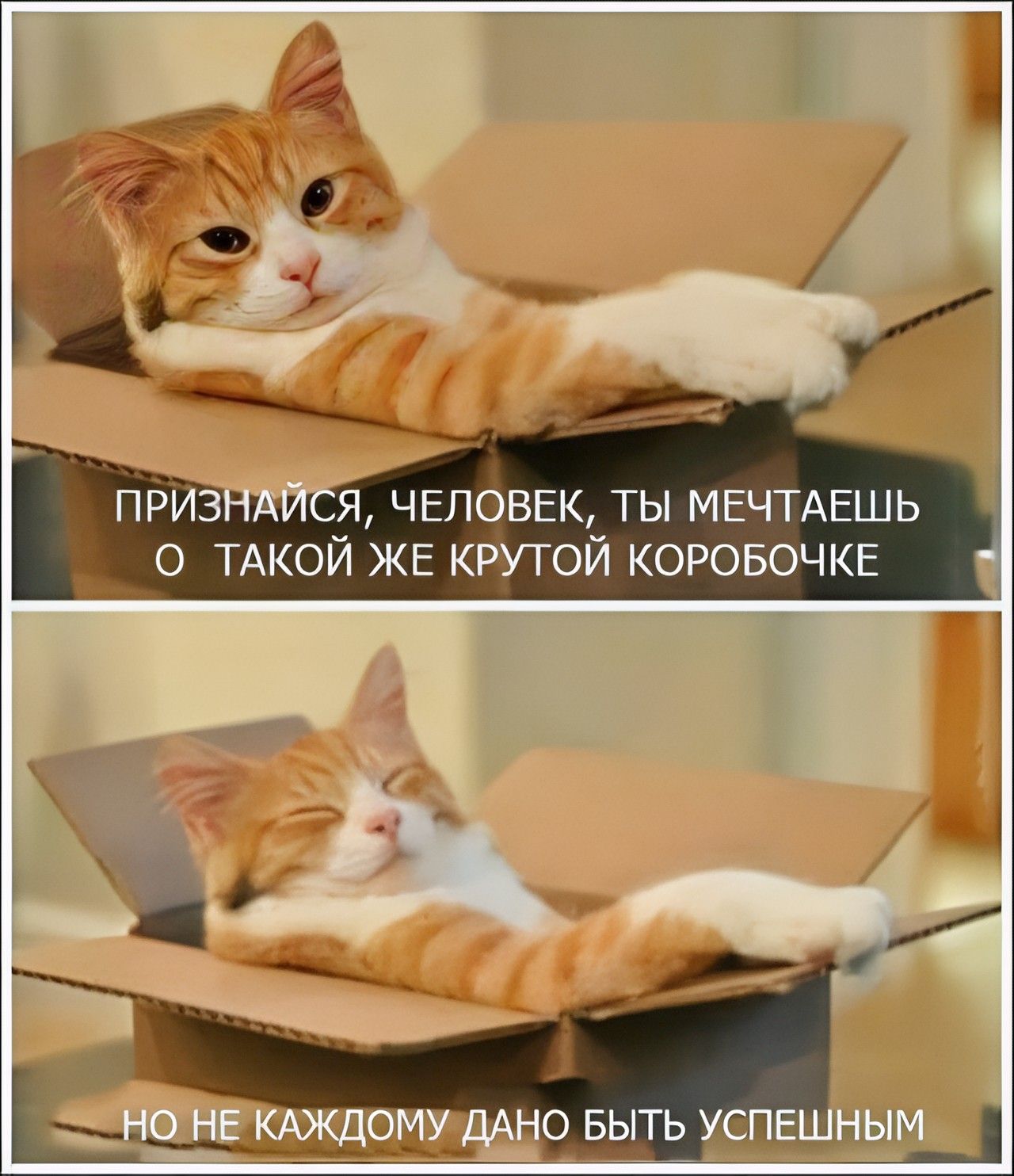 ПРИЗНЖЙСЯ ЧЕЛОВЕК ТЫ МЕЧТАЕШЬ ТАКОЙ ЖЕ КРУТОЙ КОРОБОЧКЕ