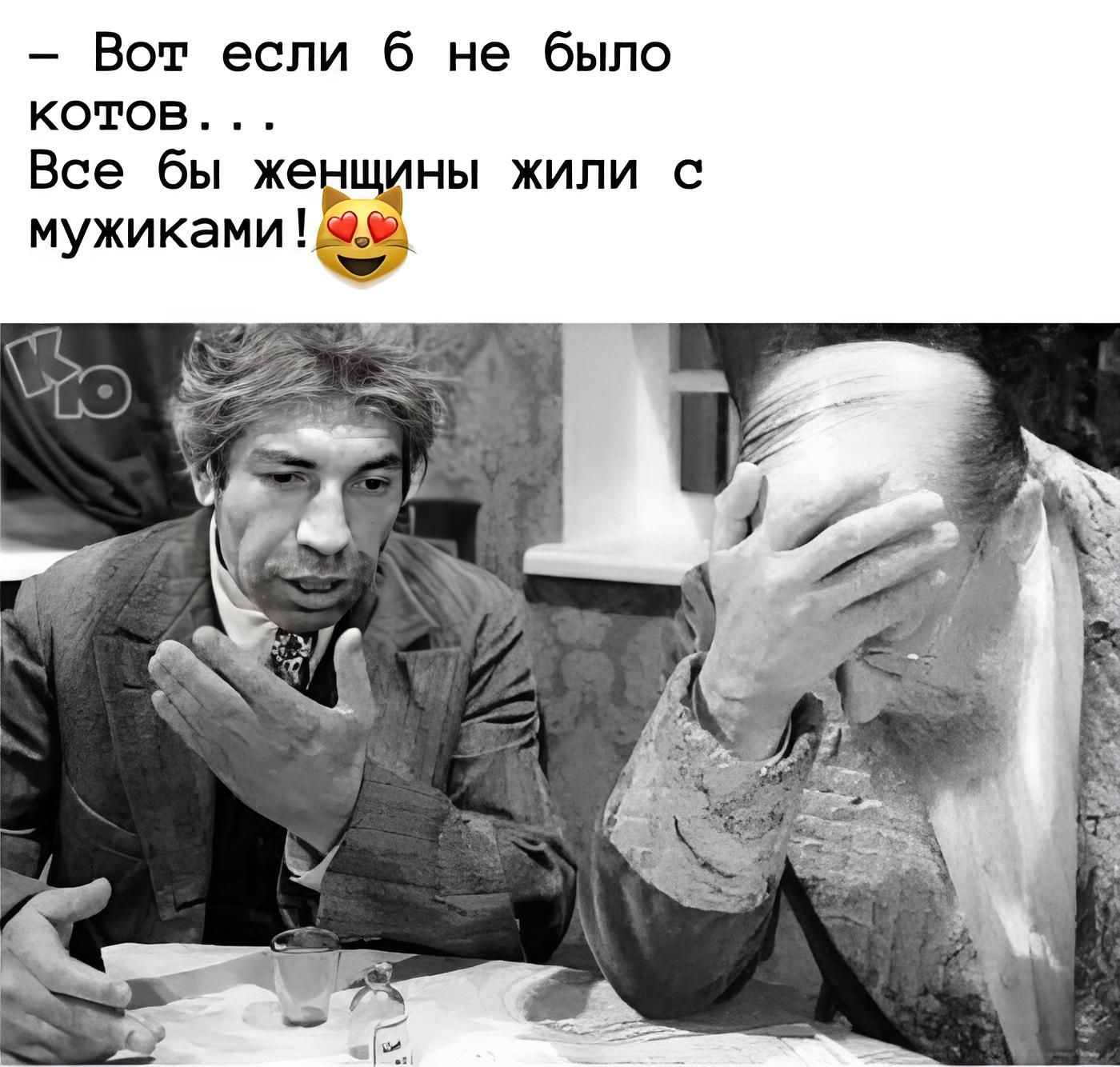 Вот если 6 не было котов Все бы жежньп жили с мужиками