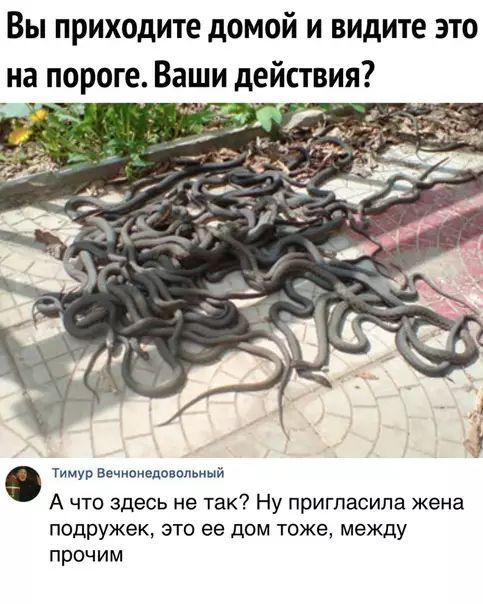 Вы приходите домой и видите это Тимур Вечнонедовольный Ачто здесь не так Ну пригласила жена подружек это ее дом тоже между прочим