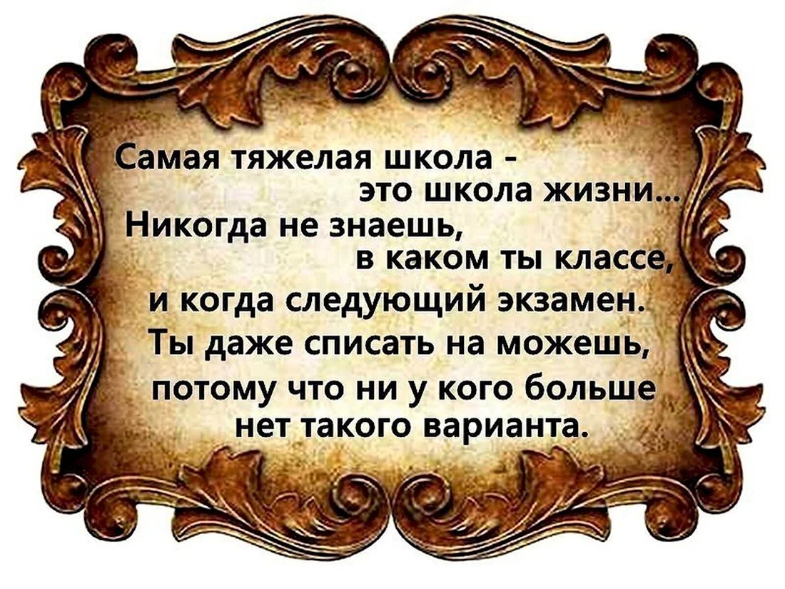 ЗМЗЯ тяжелая школа это школа ЖИЗНИ З Никогда не знаешь в каком ты класс и когда следующий экзамен Ты даже списать на можешь потому что ни у кого большей нет такого варианта