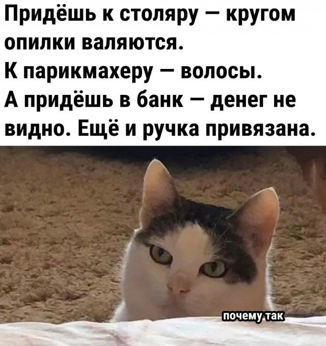 Придёшь к столяру кругом опилки валяются К парикмахеру волосы А придёшь в банк денег не видно Ещё и ручка привязана ппчему ш