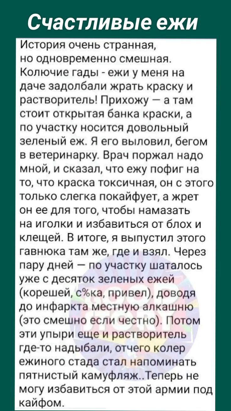 Счастливые ежи История очень странная но одновременно смешная Колючие гады ежи у меня на даче задолбали жрать краску и растворитель Прихожу а там стоит открытая банка краски а по участку носится довольный зеленый еж Я его выловил бегом в ветеринарку Врач поржал надо мной и сказал что ежу пофиг на то что краска токсичная он с этого только слегка покайфует а жрет он ее для того чтобы намазать на иго