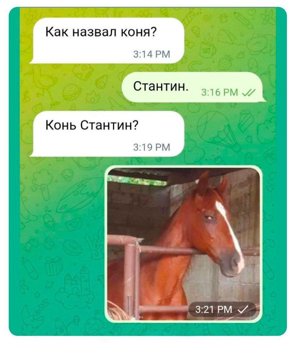 Как назвал коня РМ Стантин Конь Стантин 321 РМ