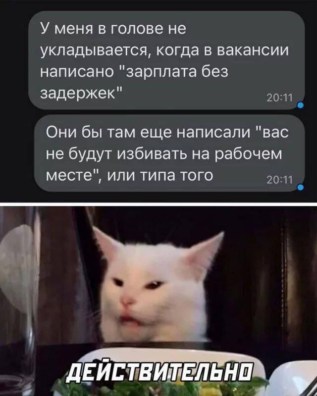 У меня в голове не укладывается когда в вакансии написано зарплата без задержек 207 Они бы там еще написали вас не будут избивать на рабочем месте или типа того 201 д_ёйчтдищвльндп _ Ч УО