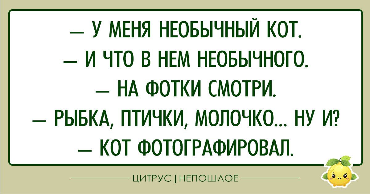 У МЕНЯ НЕОБЫЧНЫЙ КОТ И ЧТО В НЕМ НЕОБЫЧНОГО НА ФОТКИ СМОТРИ РЫБКА ПТИЧКИ МОЛОЧКО НУ И КОТ ФОТОГРАФИРОВАЛ сс а35ь ЦИТРУС НЕПОШЛОЕ