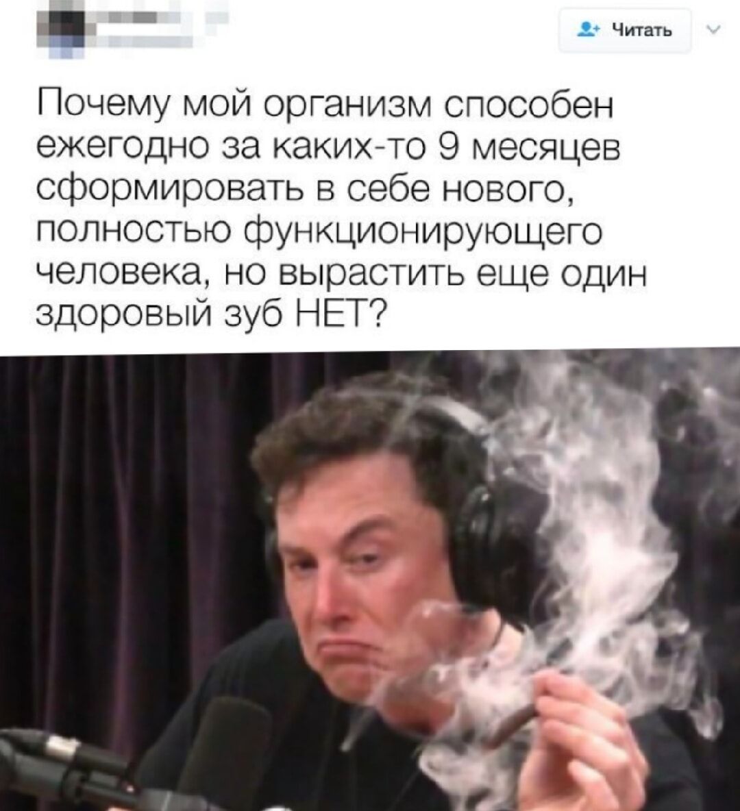 _ о 3 Читать Почему мой организм способен ежегодно за каких то 9 месяцев сформировать в себе нового полностью функционирующего человека но вырастить еще один здоровый зуб НЕТ