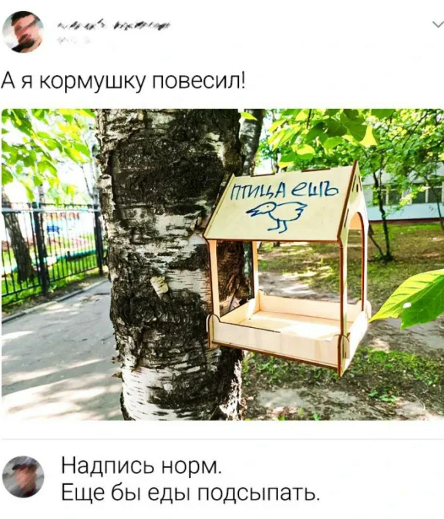 З лоа оао Ая кормушку повесил Надпись норм Еще бы еды подсыпать