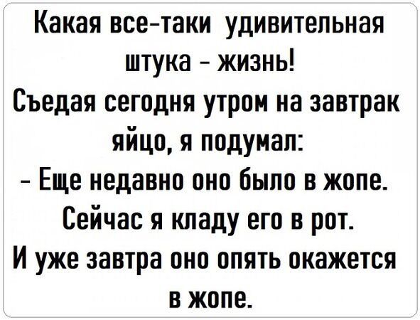 Какая все таки удивительная штука жизны Съедая сегодня утром на завтрак яйцо я подумал Еще недавно оно было в жопе Сейчас я кладу его в рот И уже завтра оно опять окажется в жопе
