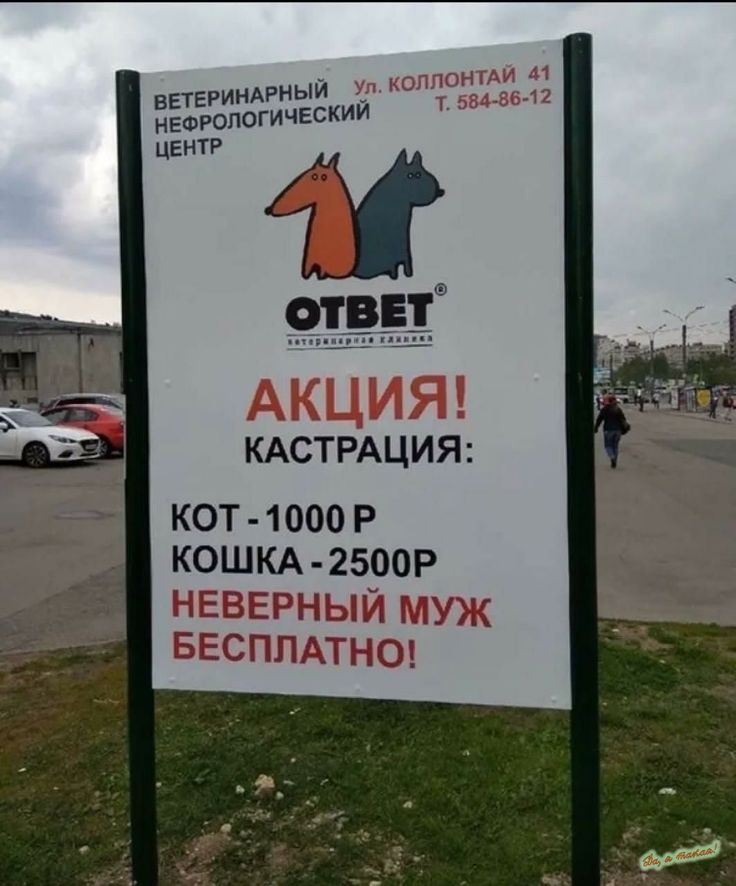 РИНАРНЫЙ Ул К ЁЁюпогичвскии КАСТРАЦИЯ КОТ 1000 Р КОШКА 2500Р НЕВЕРНЫЙ МУЖ БЕСПЛАТНО