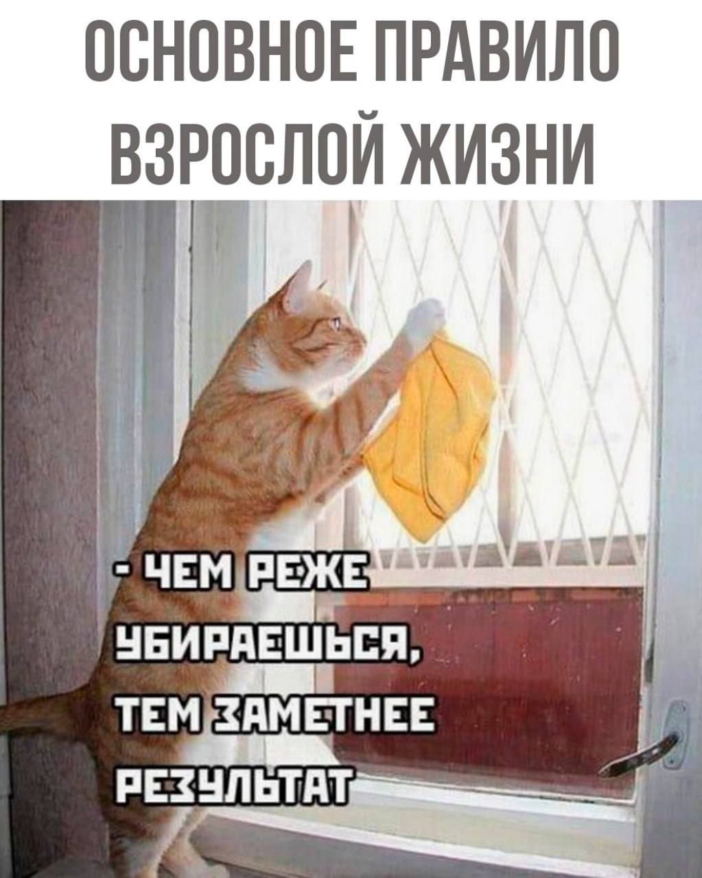 ОСНОВНОЕ ПРАВИЛО ВЗРОСЛОЙ ЖИЗНИ Га НБИРПЕШЬПП ТЕМЗПМЕТНЕЕ РЕЗУЛЬТАТ