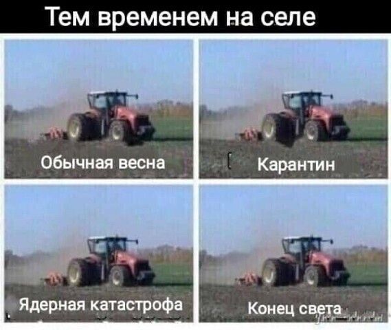 Тем временем на селе