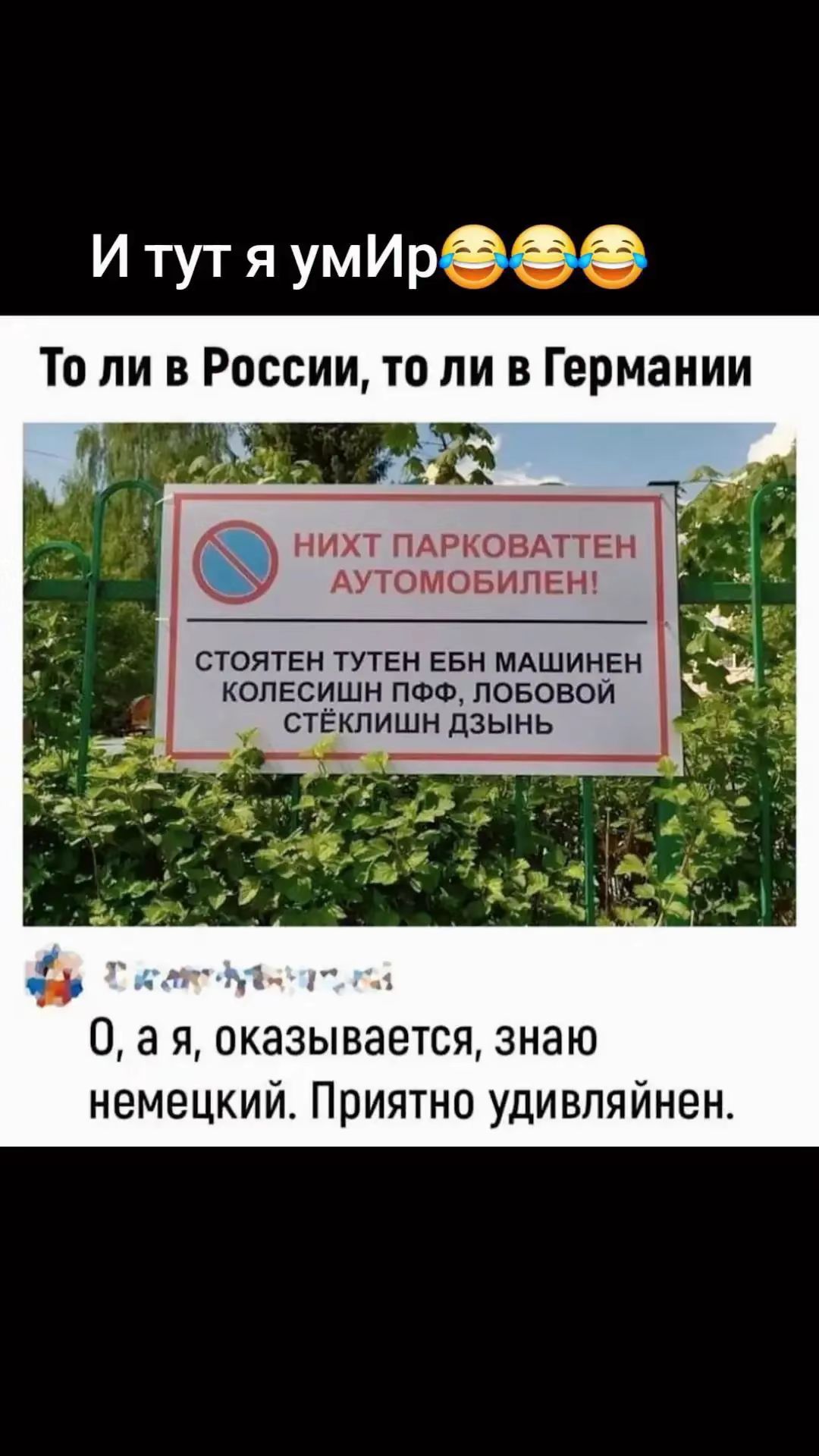 Итутяумир То ли в России то ли в Германии НИХТ ПАРКОВАТТЕН АУТОМОБИЛЕН Ё СТОЯТЕН ТУТЕН ЕБН МАШИНЕН КОЛЕСИШН ПФФ ЛОБОВОЙ СТЁКЛИШН ДЗЫНЬ Оая оказывается знаю немецкий Приятно удивляйнен