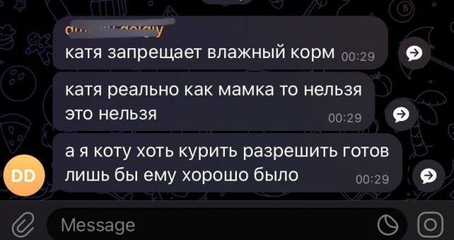 катя запрещает влажный корм оо катя реально как мамка то нельзя это нельзя оо2е ая коту хоть курить разрешить готов лишь бы ему хорошо было сого С