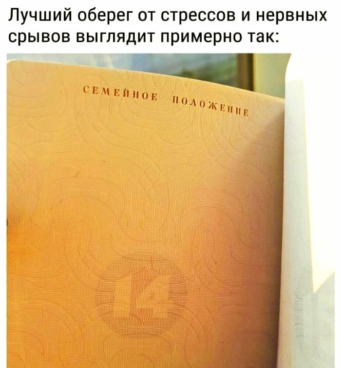 Лучший оберег от стрессов и нервных срывов выглядит примерно так шо В СЕМ _ а ЕЙНОЕ