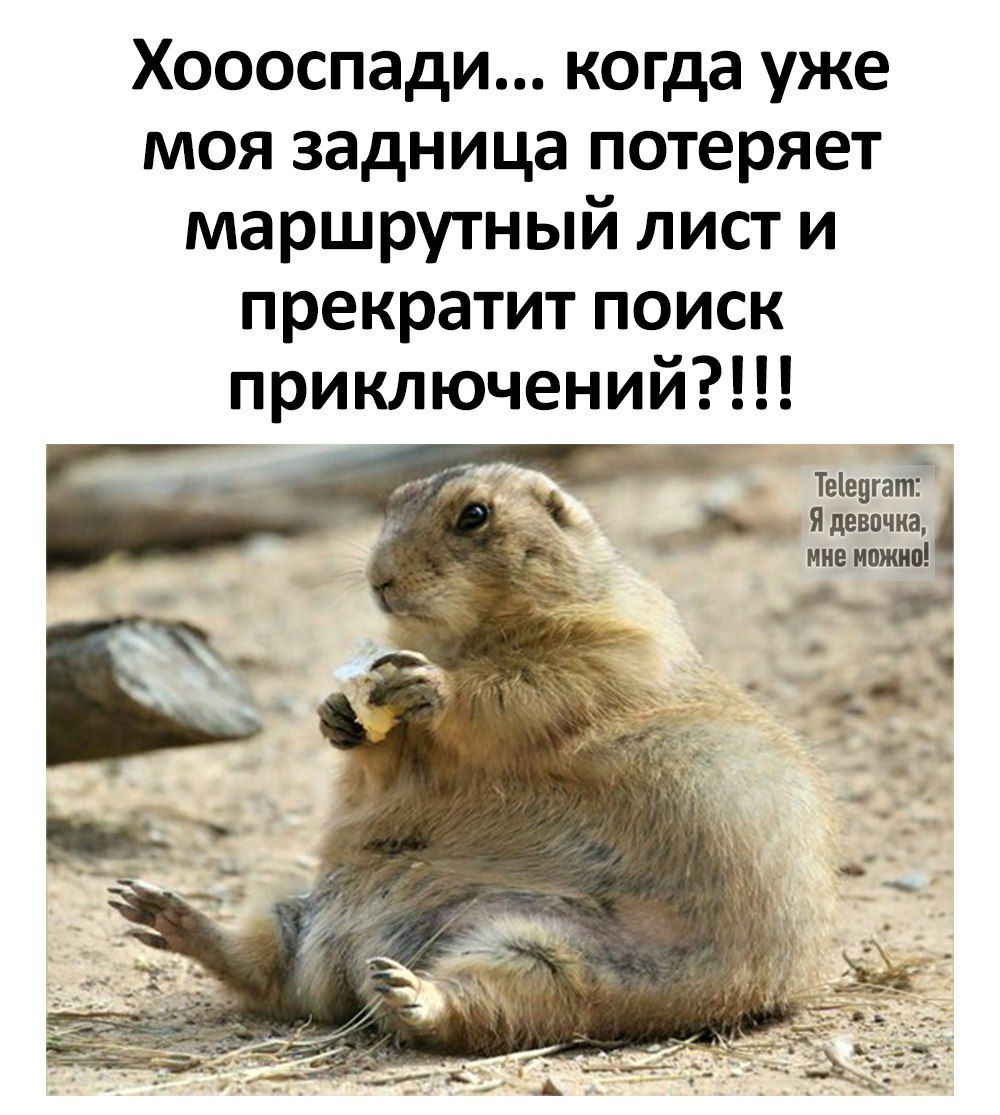Хоооспади когда уже моя задница потеряет маршрутный лист и прекратит поиск приключений