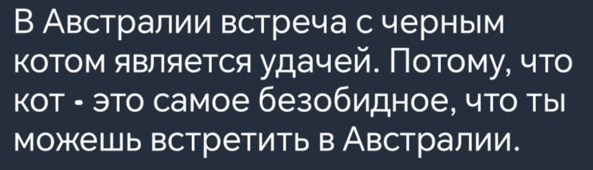В Австралии встреча с черным котом является удачей Потому что кот это самое безобидное что ты можешь встретить в Австралии