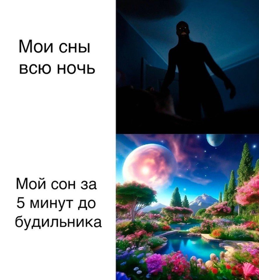 Мои сны всю ночь Мой сон за 5 минут до будильника