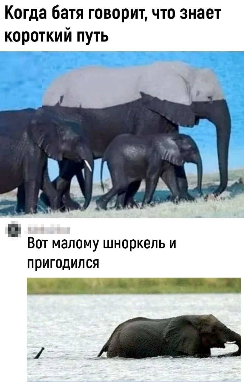 Когда батя говорит что знает короткий путь Вот малому шноркель и пригодился в о йе о ольсое СОЬО
