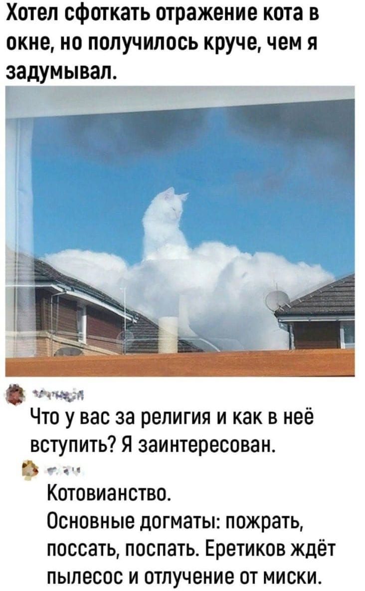 Хотел сфоткать отражение кота в окне но получилось круче чем я задумывал т осс Что у вас за религия и как в неё вступить Я заинтересован В тч Котовианство Основные догматы пожрать поссать поспать Еретиков ждёт пылесос и отлучение от миски