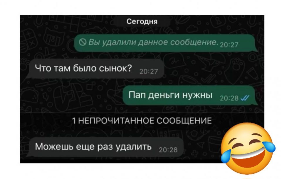 Сегодня Что там было сынок Пап деньги нужны 1 НЕПРОЧИТАННОЕ СООБЩЕНИЕ Можешь еще раз удалить
