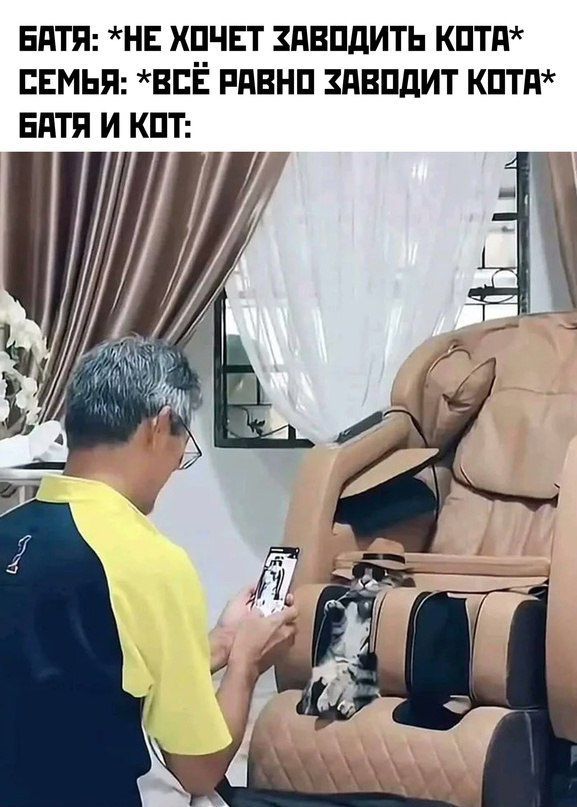 БАТЯ НЕ ХОЧЕТ ХАВОДИТЬ КОТА СЕМЬЯ ВСЕ РАВНО ХАВОДИТ КОТА БАТЯ И КОТ Л 4