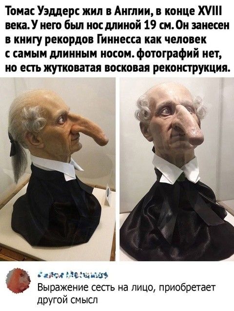Томас Уэддерс жил в Англии в конце ХУШ века У него был нос длиной 19 смОн занесен в книгу рекордов Гиннесса как человек с самым длинным носом фотографий нет но есть жутковатая восковая реконструкция айса логаыиу Выражение сесть на лицо приобретает другой смысл