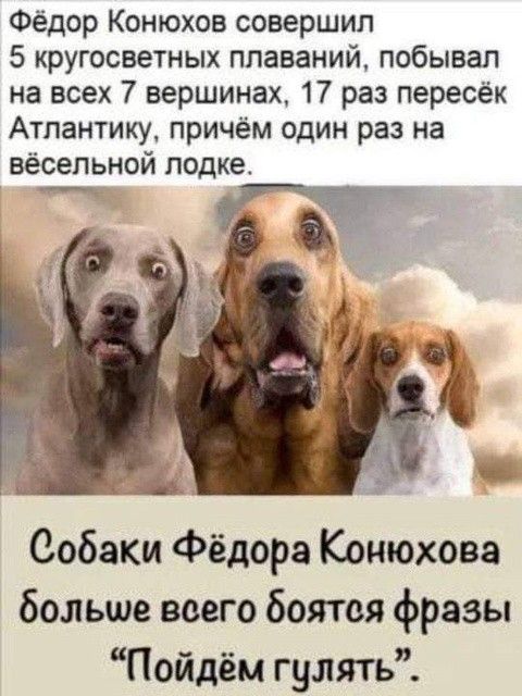 Фёдор Конюхов совершил 5 кругосветных плаваний побывал на всех 7 вершинах 17 раз пересёк Атлантику причём один раз на вёсельной лодке г Собаки Фёдора Конюхова больше всего боятся фразы Пойдём гулять