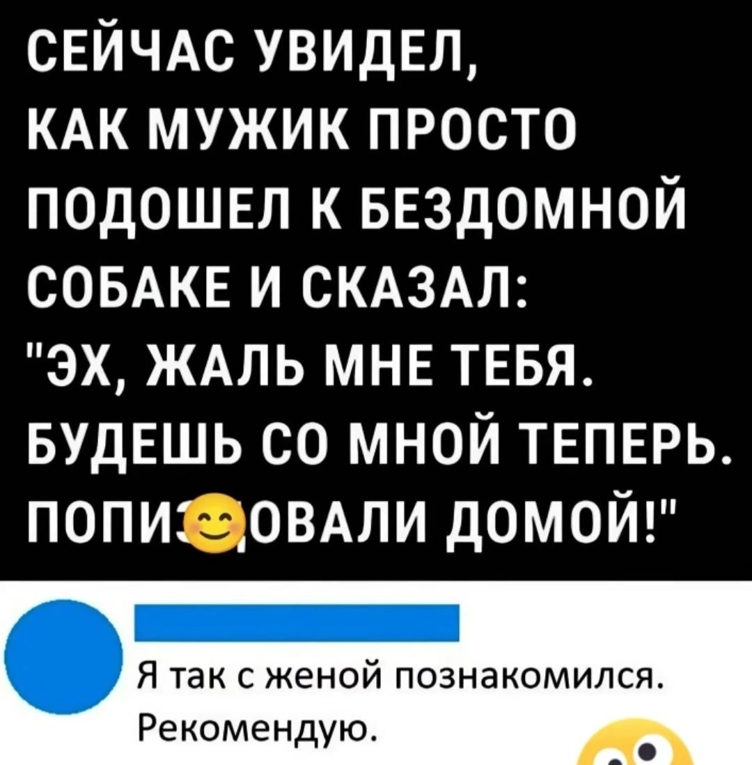 СЕЙЧАС УВИДЕЛ КАК МУЖИК ПРОСТО ПОДОШЕЛ К БЕЗДОМНОЙ СОБАКЕ И СКАЗАЛ ЭХ ЖАЛЬ МНЕ ТЕБЯ БУДЕШЬ СО МНОЙ ТЕПЕРЬ ПОПИОВАЛИ ДОМОЙ Я так с женой познакомился Рекомендую
