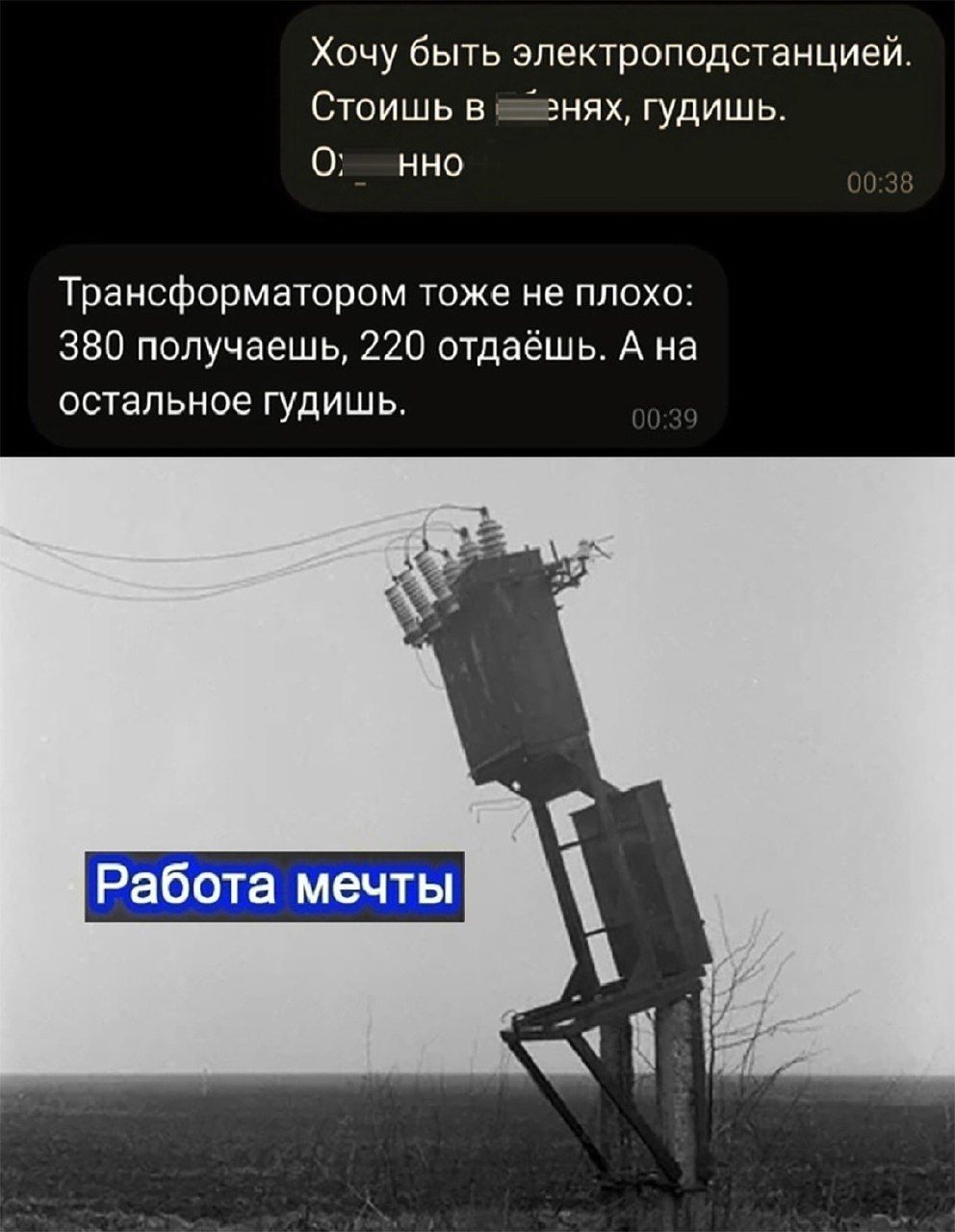Хочу быть электроподстанцией Стоишь в ейенях гудишь о Трансформатором тоже не плохо 380 получаешь 220 отдаёшь А на остальное гудишь