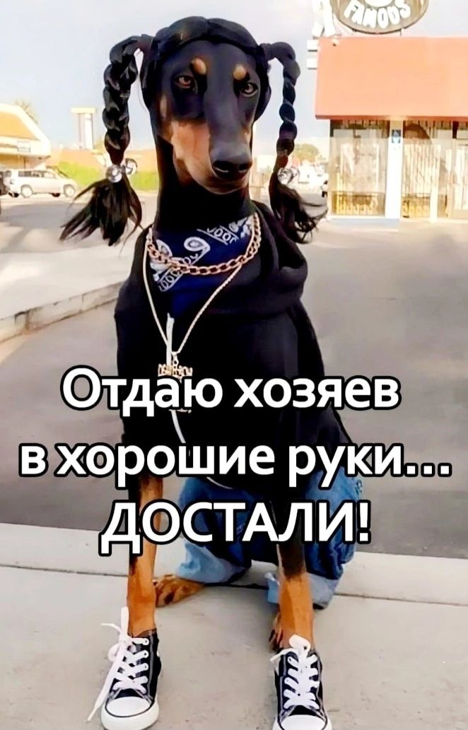 Ё гед К тдак о е