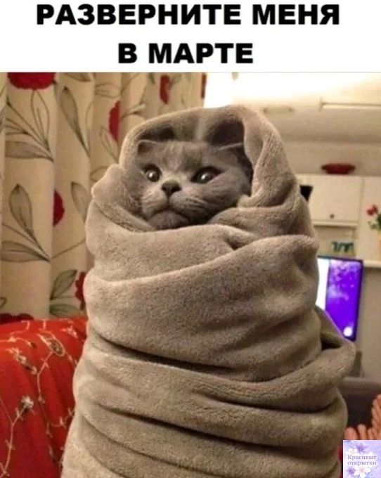 РАЗВЕРНИТЕ МЕНЯ В МАРТЕ