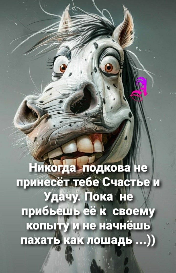 КДдкова прййэсет тебе СЧастьБ и