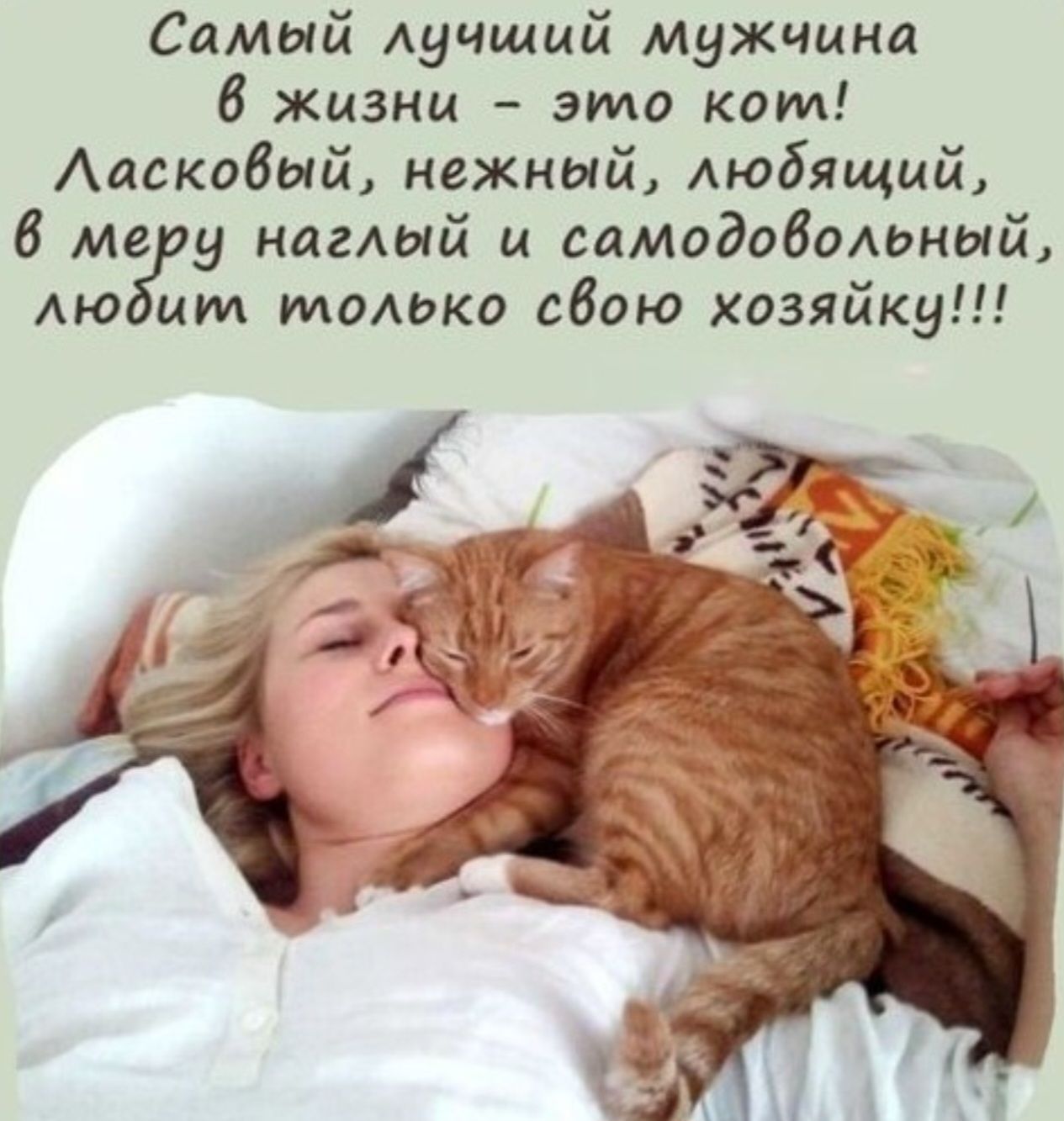 Самый лучший мужчина 6 жизни это комт Ласковый нежный людящий 6 мЁру наглый и самодовольный людит итолько свою хозяйкц
