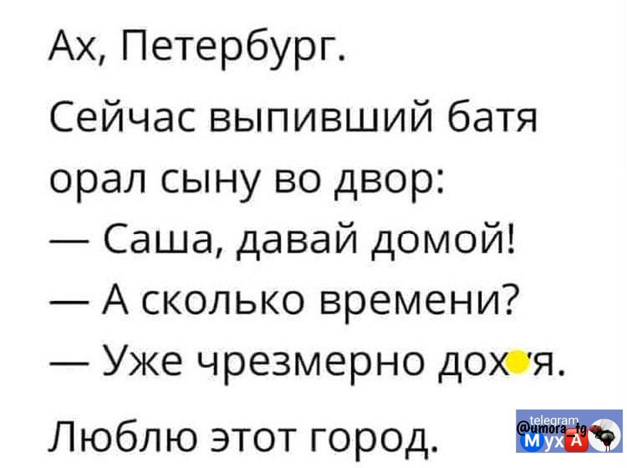 Ах Петербург Сейчас выпивший батя орал сыну во двор Саша давай домой А сколько времени Уже чрезмерно дохя Люблю этот город