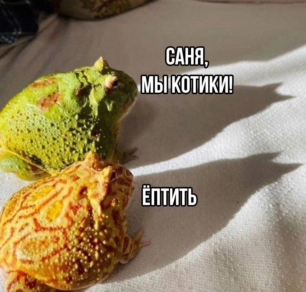_ ВАНЯ 9е МЫТКОТИКИ ЁПТИТЬ