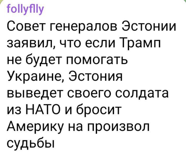 ойу у Совет генералов Эстонии заявил что если Трамп не будет помогать Украине Эстония выведет своего солдата из НАТО и бросит Америку на произвол судьбы