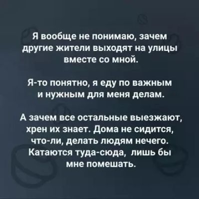 я БВОбЩЕ не понимаю зачем другие жители выходят на улицы вместе со мной Я то понятно я еду по важным и нужным для меня делам А зачем все остальные выезжают хрен их знает дома не сидится что ли делать людям нечего Катаются туда сюда лишь бы мне помешать